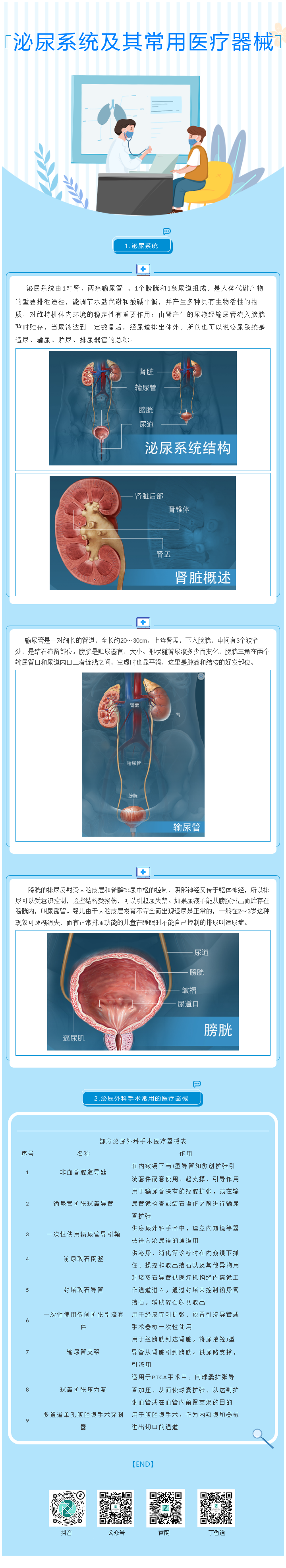 泌尿系统